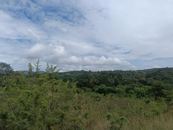 Farm