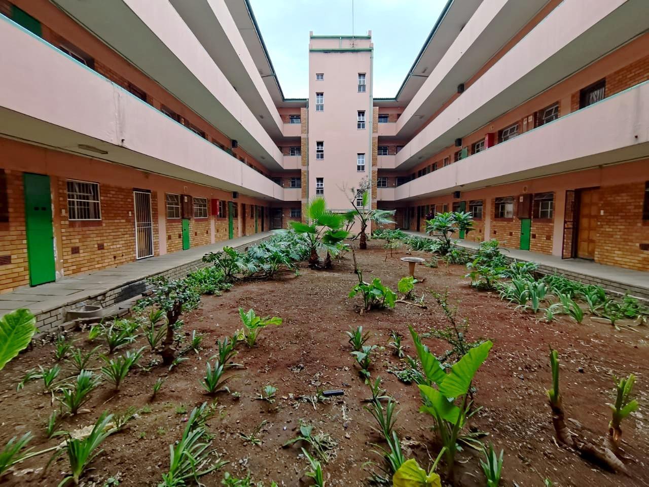 1.5 Bedroom Apartment in Sunnyside