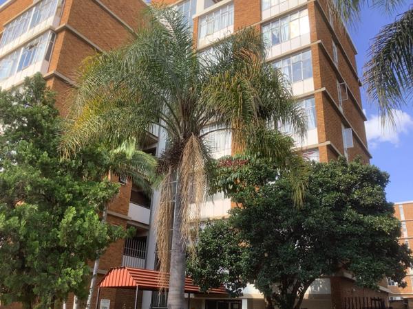 1.5 Bedroom Apartment