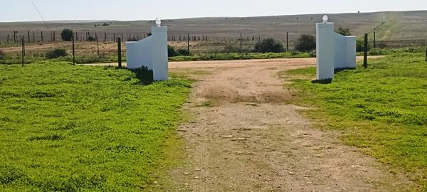 28.5 ha Agricultural Holding