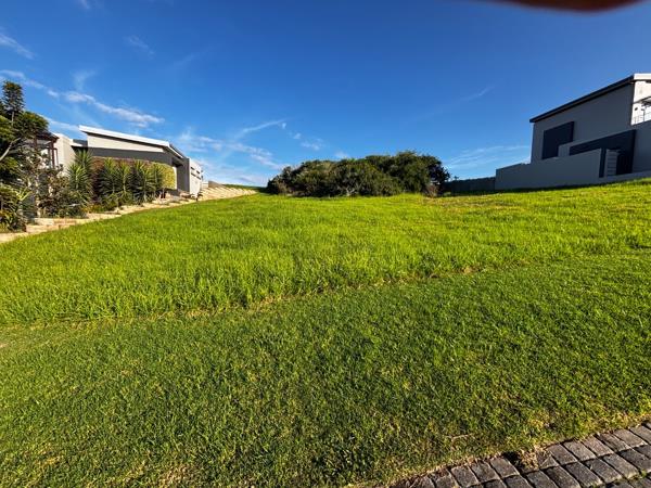 967 m² Land