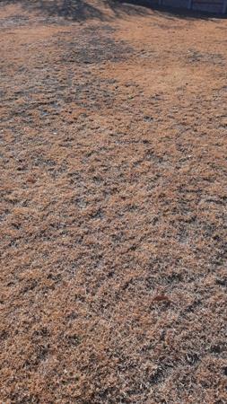 1 203 m² Land