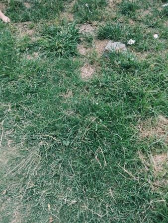 1 203 m² Land
