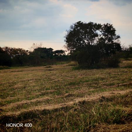 1.2 ha Land