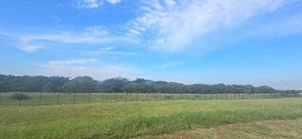 731 m² Land