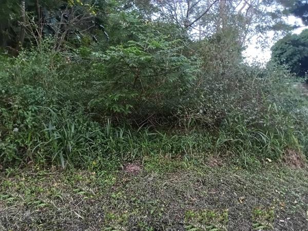 2 340 m² Land