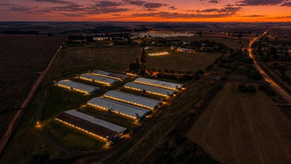 42.8 ha Farm