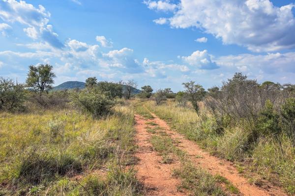 487 ha Land