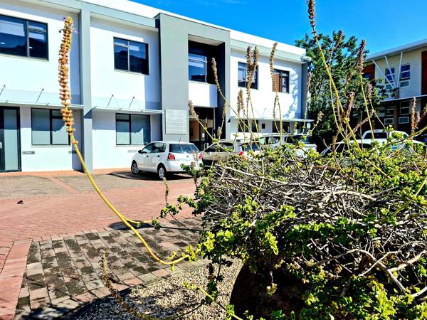 213 m² Office Space