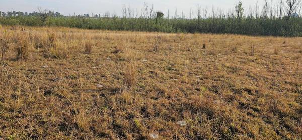 4 ha Land