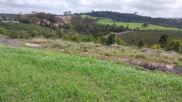 6 977 m² Land
