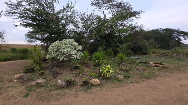 21.4 ha Farm