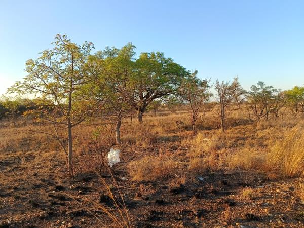 736 m² Land