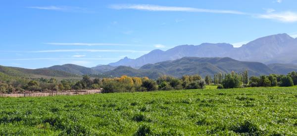 3.2 ha Agricultural Holding