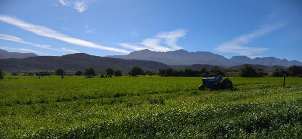 4.3 ha Agricultural Holding