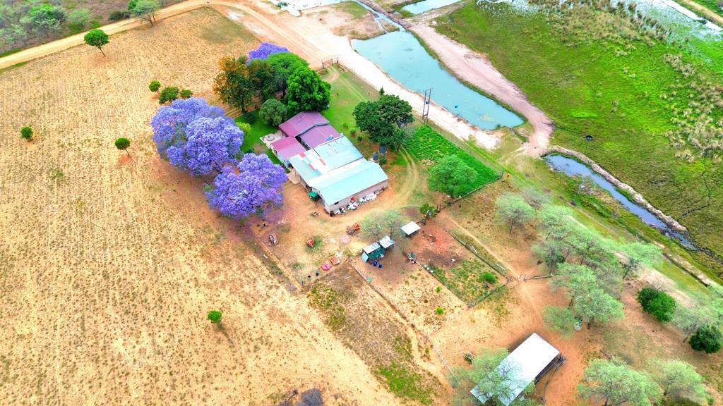 25 ha Farm with House