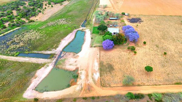 25 ha Farm with House