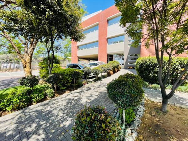 226 m² Commercial space