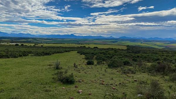 288 ha Farm
