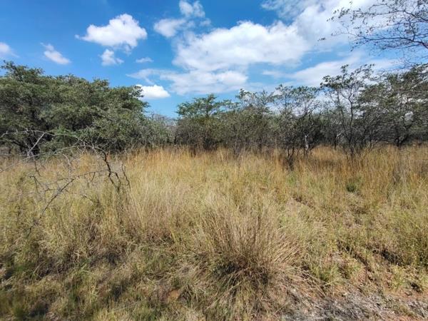 1 000 m² Land