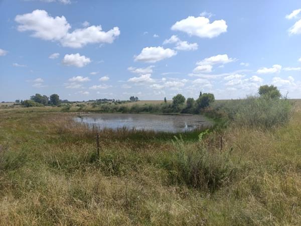 127 ha Farm