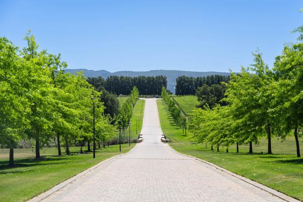 1 019 m² Land