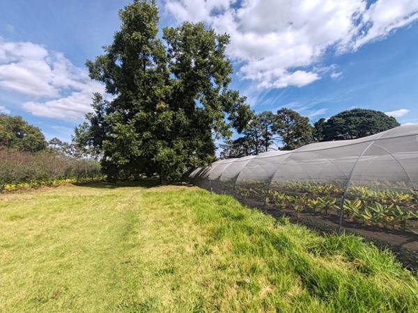 2.2 ha Smallholding