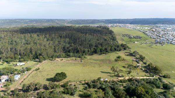 4.1 ha Land