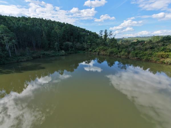 57.7 ha Commercial Farm