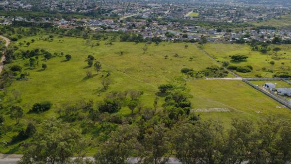 7.4 ha Land