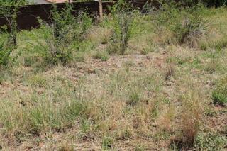 284 m² Land