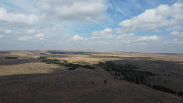175 ha Farm