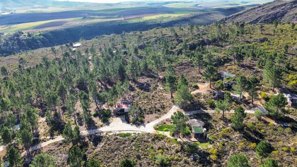98.6 ha Farm