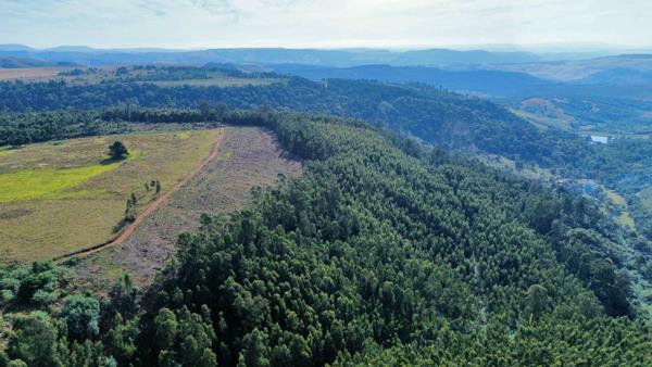 33.6 ha Land