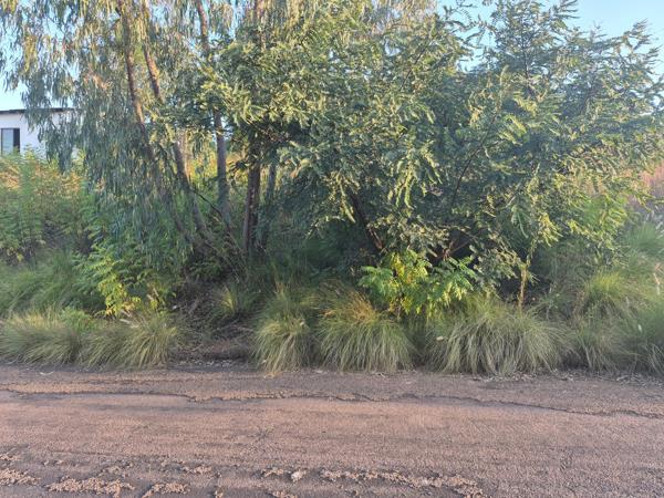 1 555 m² Land