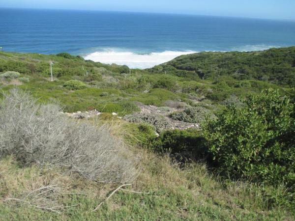 980 m² Land