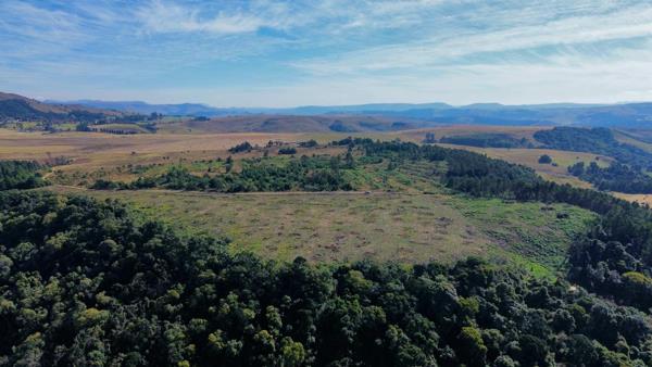 25 ha Land
