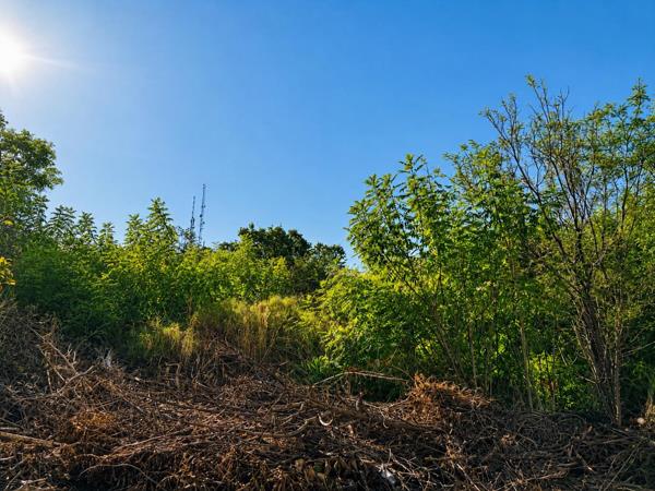 2 531 m² Land