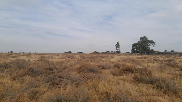8 ha Farm