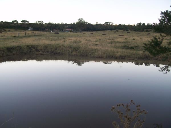 75.6 ha Farm with House