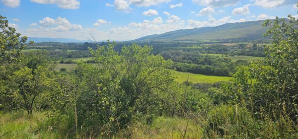 86 ha Farm