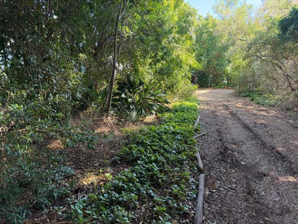 546 m² Land