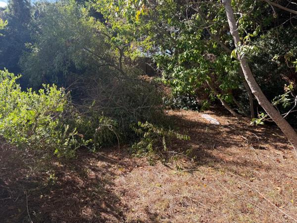 546 m² Land