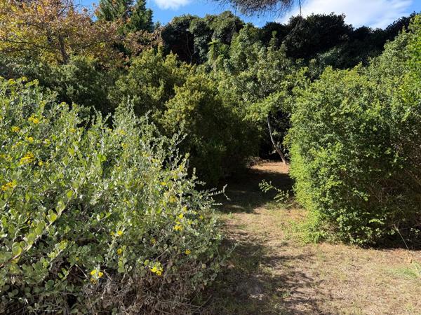 546 m² Land