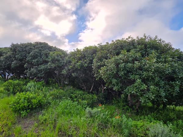 849 m² Land