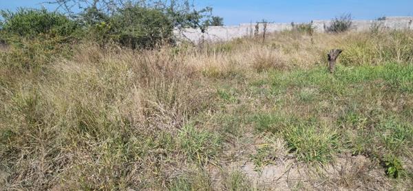311 m² Land