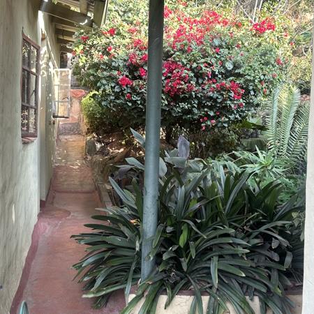 1 Bedroom House
