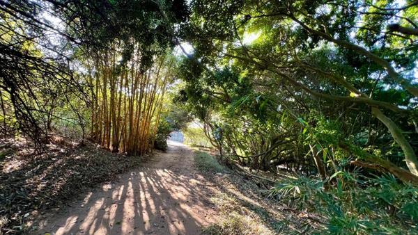 4 115 m² Land