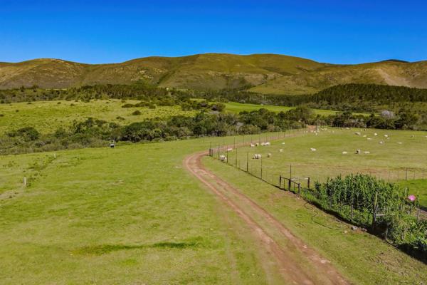 171.3 ha Farm