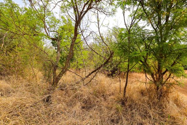 950 m² Land